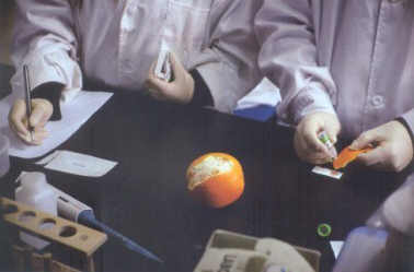 2013年3月28日，北京智云達科技有限公司食品安全快檢實驗室，技術員正在檢測橙子表皮的農藥殘留是否超標